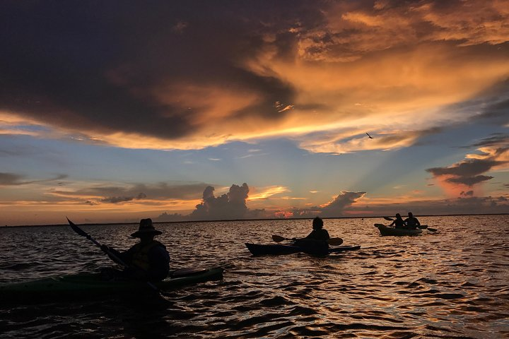 Florida Sunset and Bioluminescence Package - Photo 1 of 3